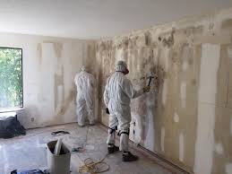 Reliable Forest Hills, MI Mold Removal Services Solutions